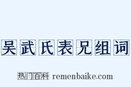 吴武氏表兄组词是什么意思的图片